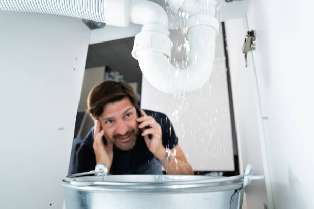 Best Plumbing Services Near Me  in Roeland Park, KS