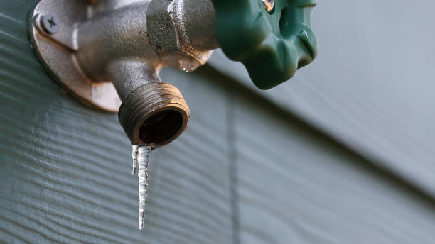 Best Sprinkler Systems  in Roeland Park, KS